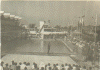 pic3.gif (133718 bytes)