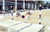 pic6.gif (75950 bytes)